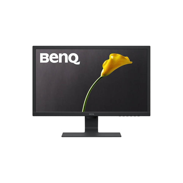 BenQ GL2480 24