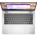 Pro 14 Plus