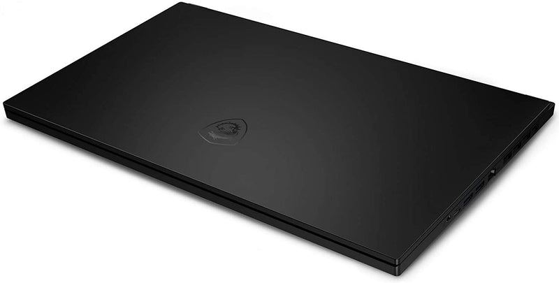 GS66 Stealth 10UH-213CA